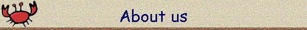 About us