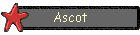 Ascot