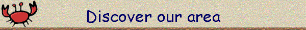 Discover our area